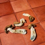 Dried - Tidal Wave - Image 2